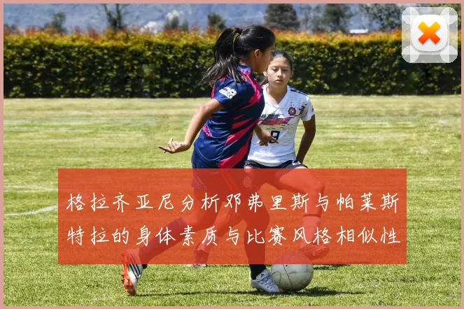 格拉齐亚尼分析邓弗里斯与帕莱斯特拉的身体素质与比赛风格相似性